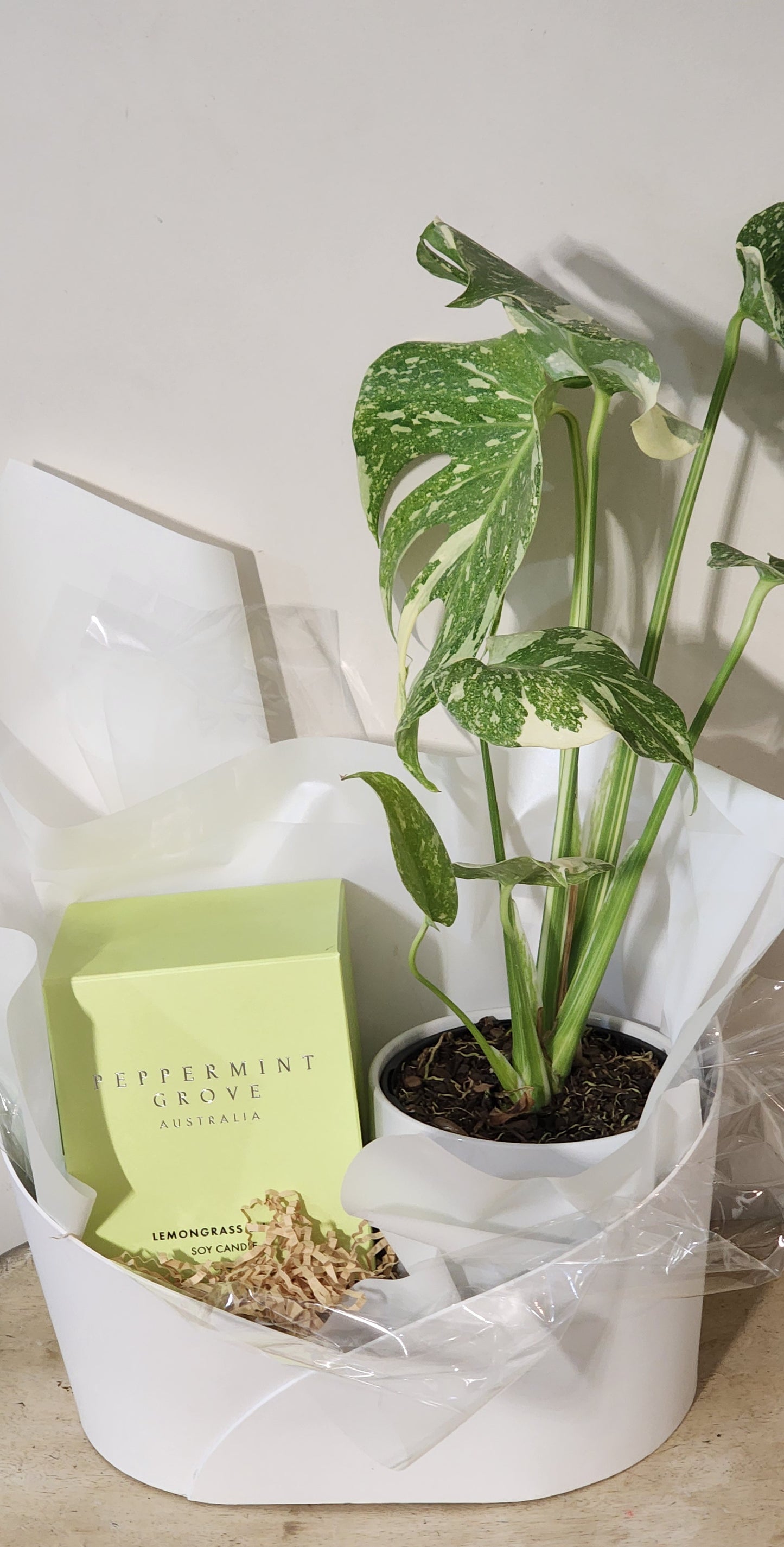 Candle & Plant Hamper