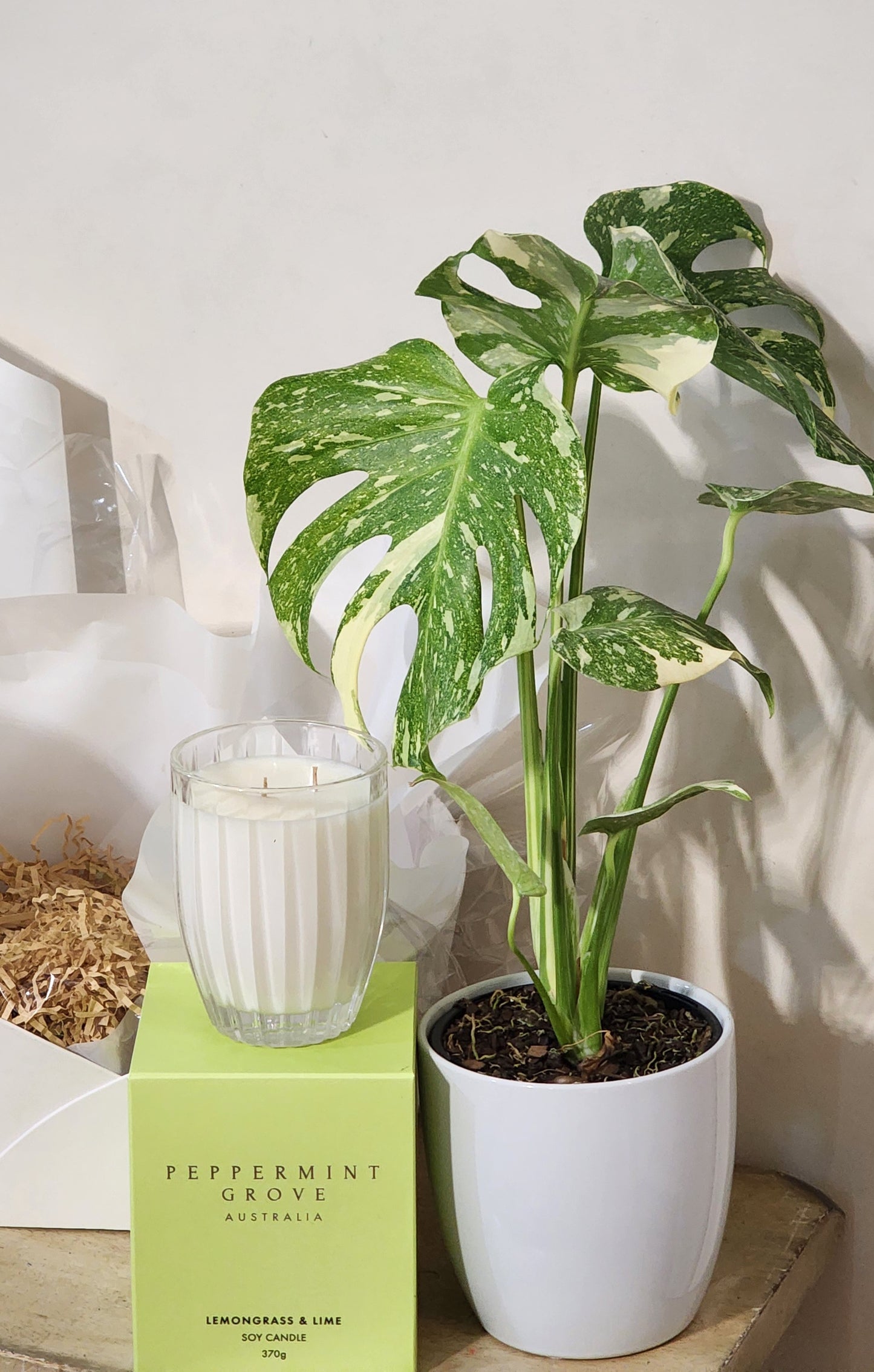 Candle & Plant Hamper