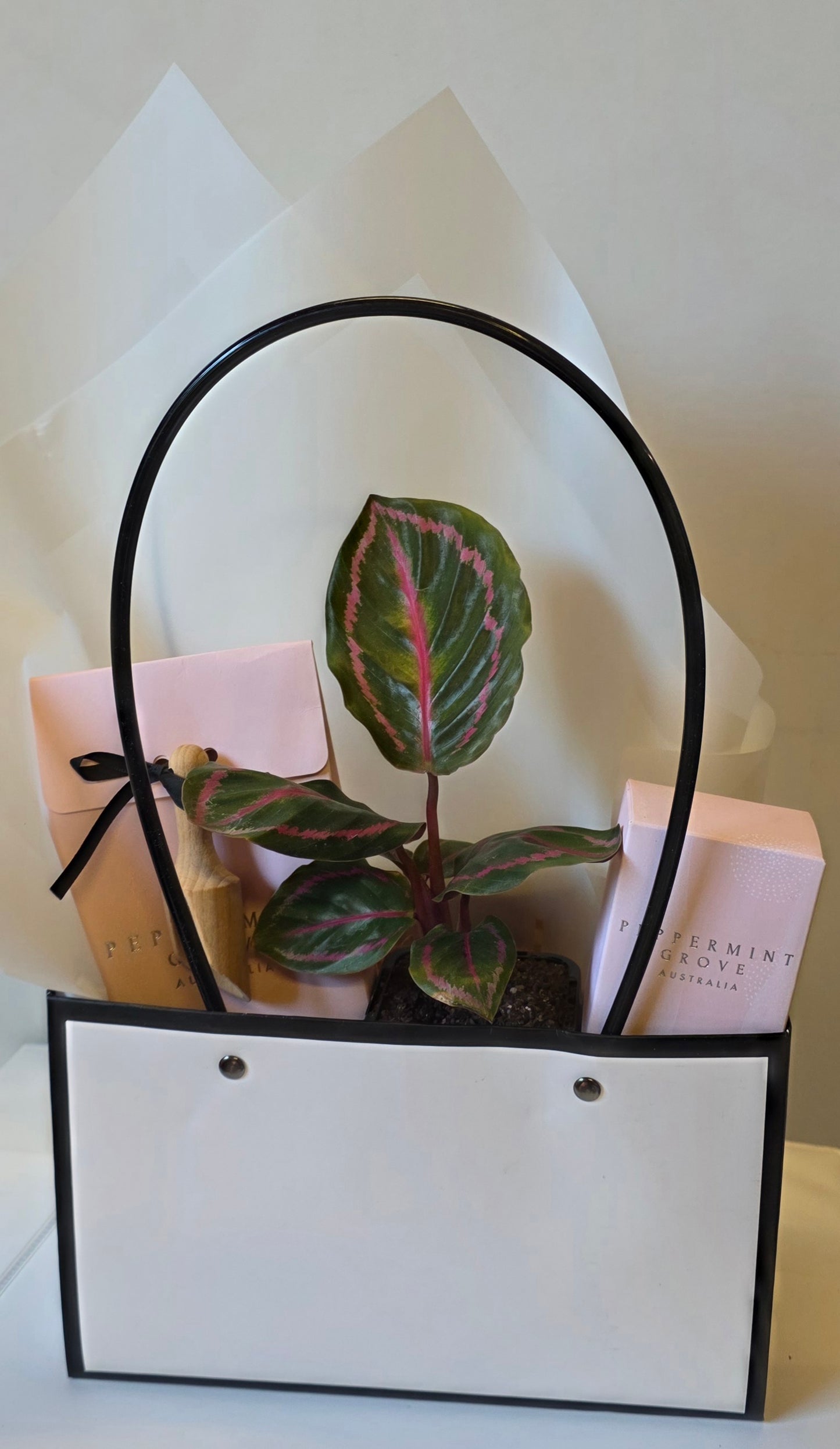 The Pamper and Plant Hamper