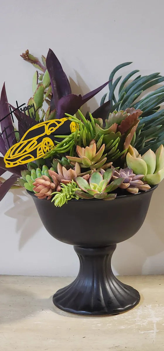 Gorgeous Small Urn Succulent Arrangement