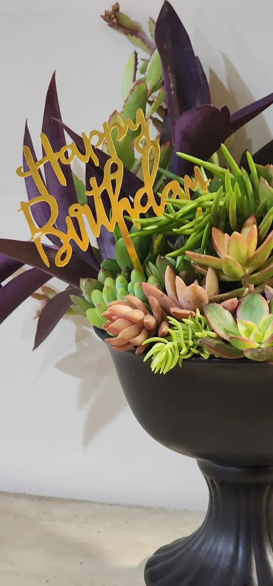 Gorgeous Small Urn Succulent Arrangement