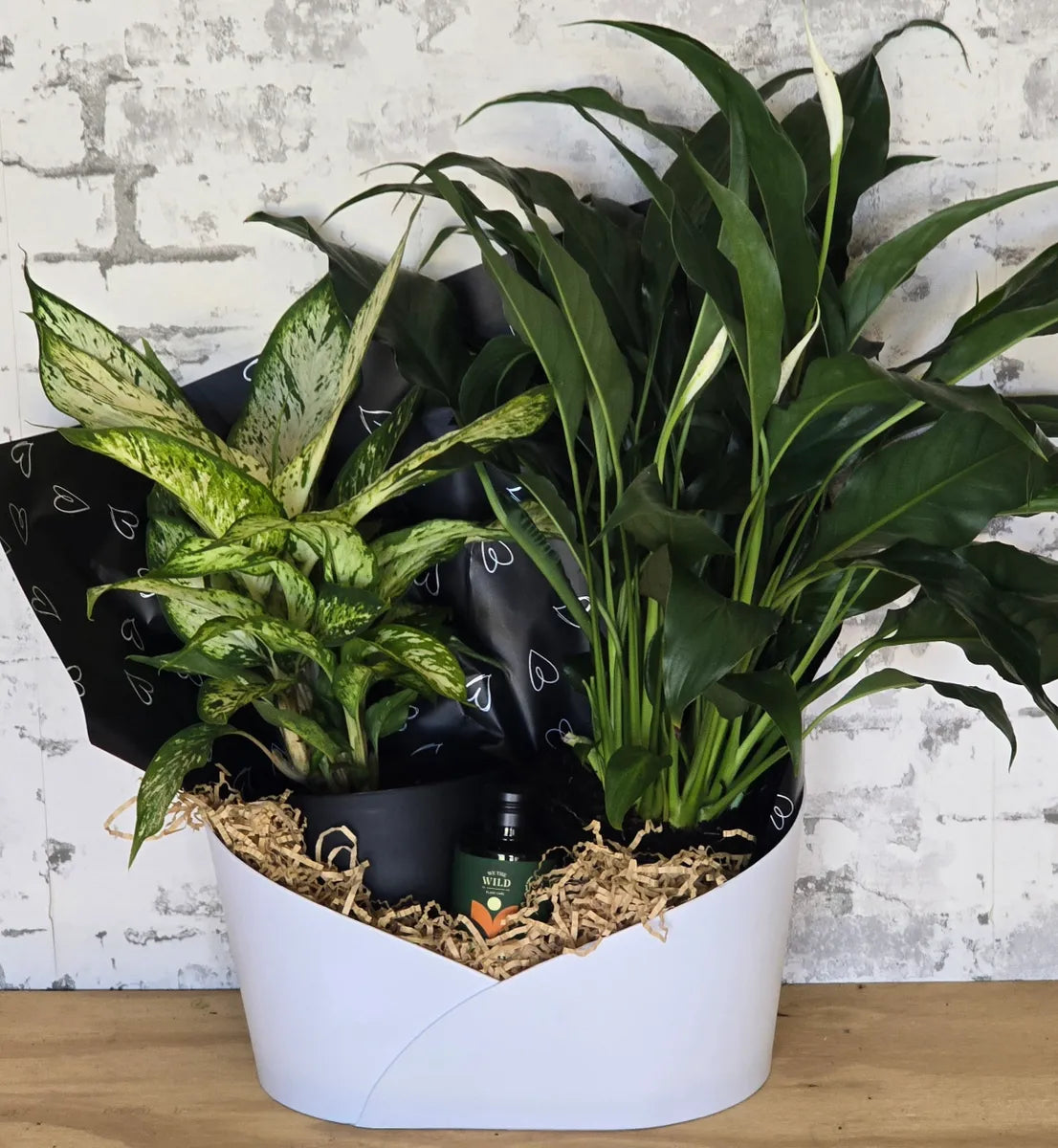 Plant Duo Hamper