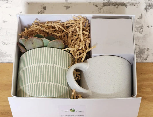 Plant & Candle Hamper