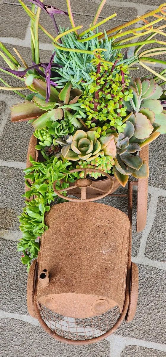 Rustic Tractor Succulent Arrangement