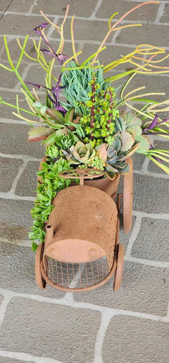 Rustic Tractor Succulent Arrangement