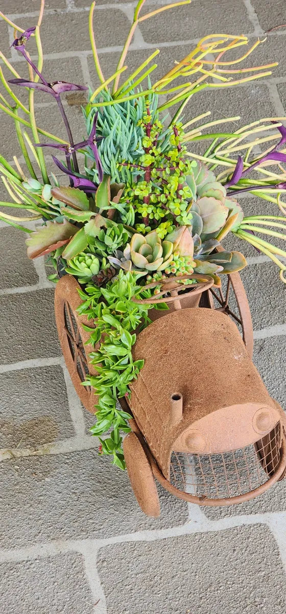 Rustic Tractor Succulent Arrangement