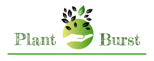 Plant Burst