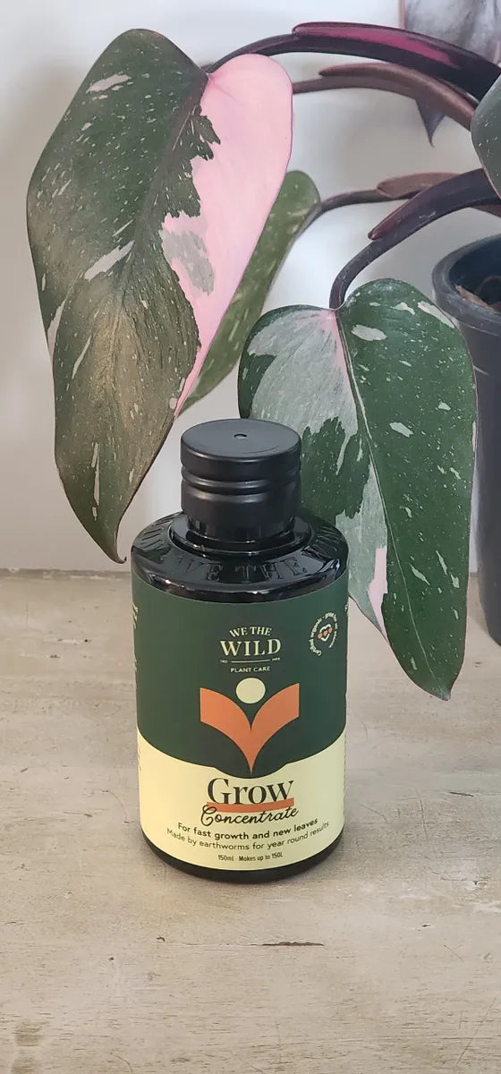 We The Wild Grow Concentrate