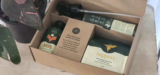 We The Wild Plant Care Pack