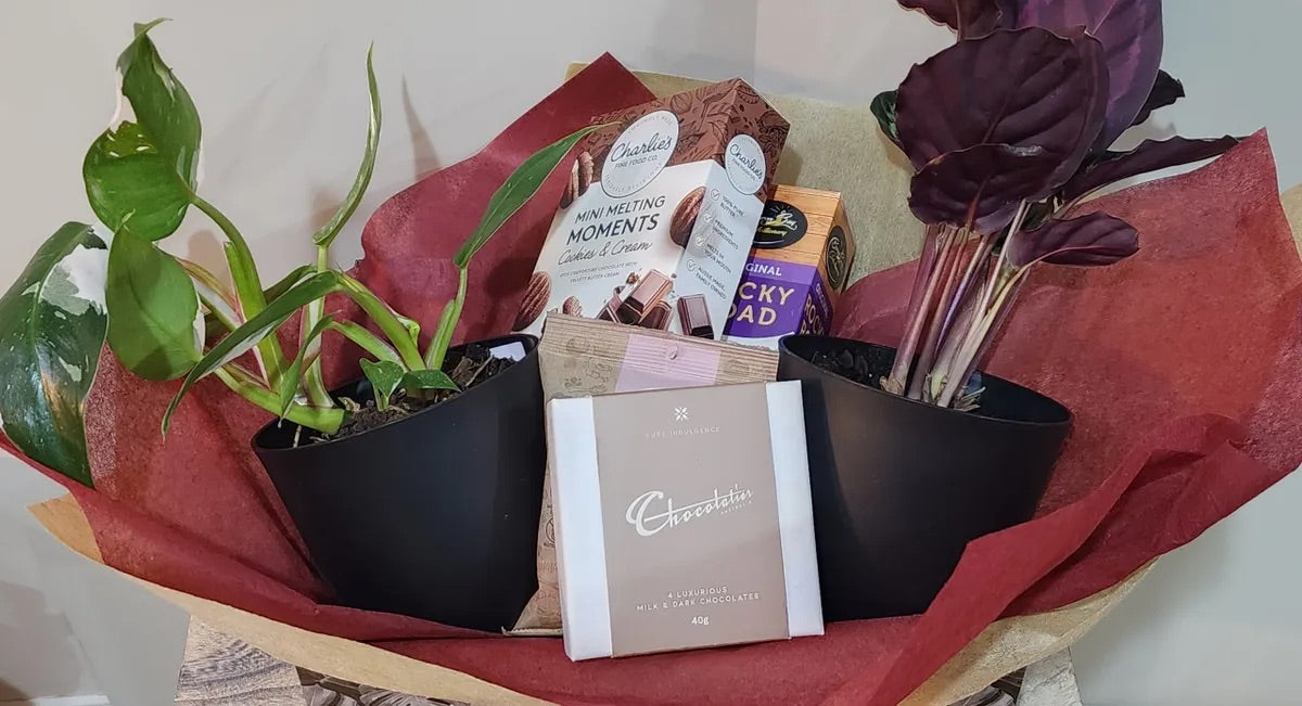Plant and Sweet Box