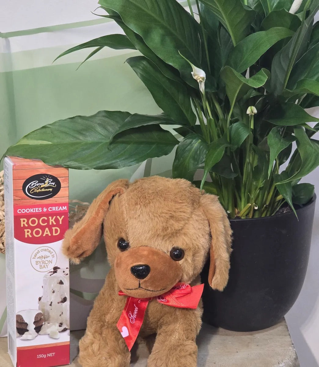 Paws, Plant & Chocolate Hamper