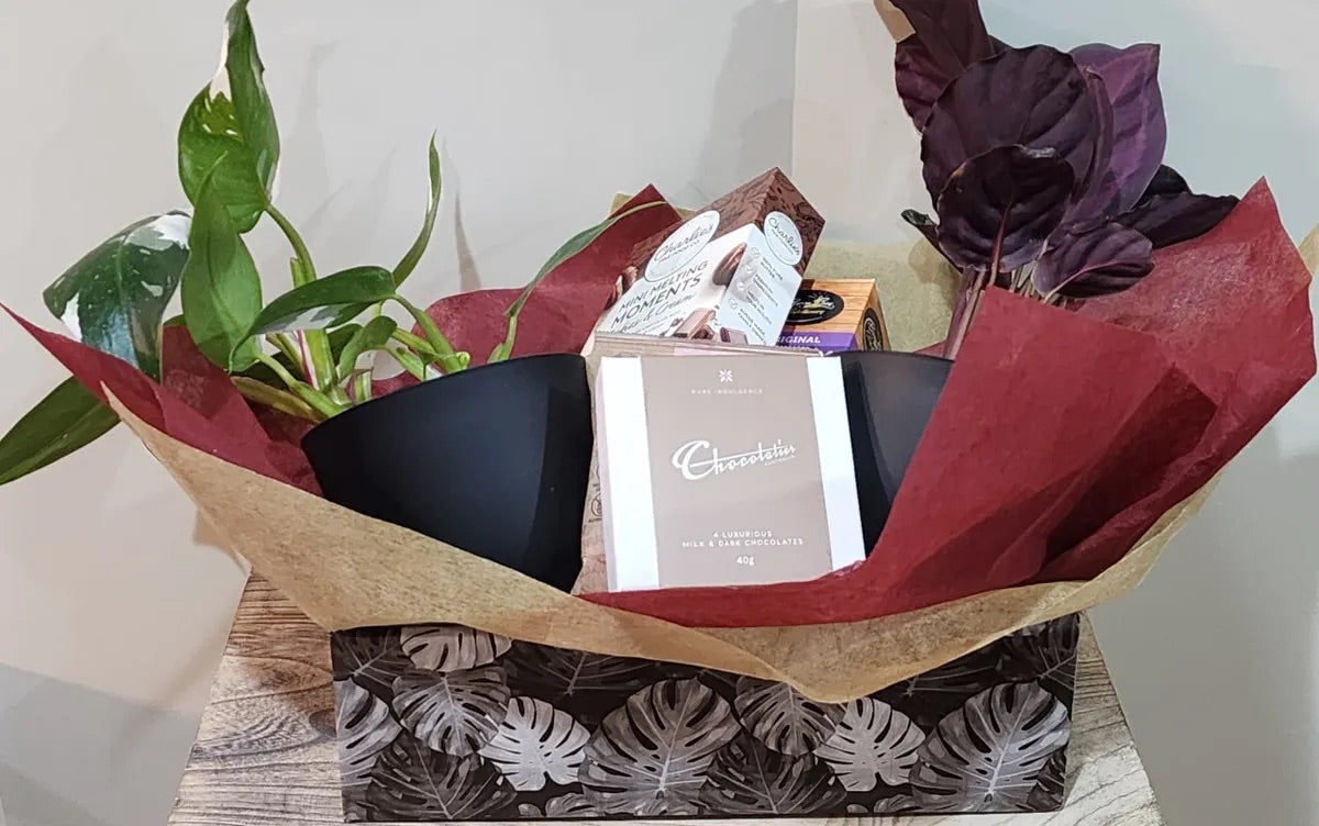 Plant and Sweet Box