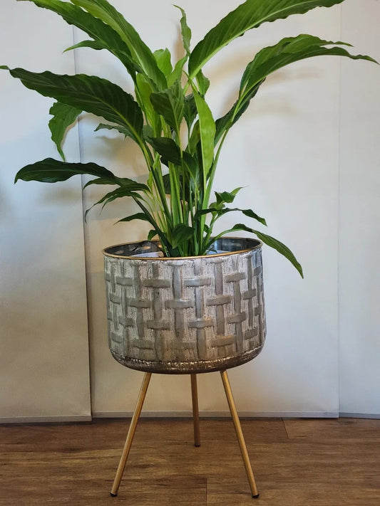 Metal Planter on Legs