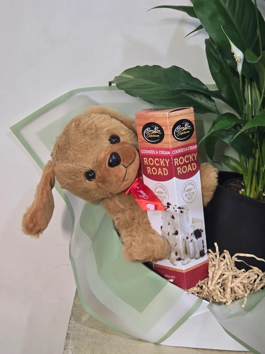 Paws, Plant & Chocolate Hamper