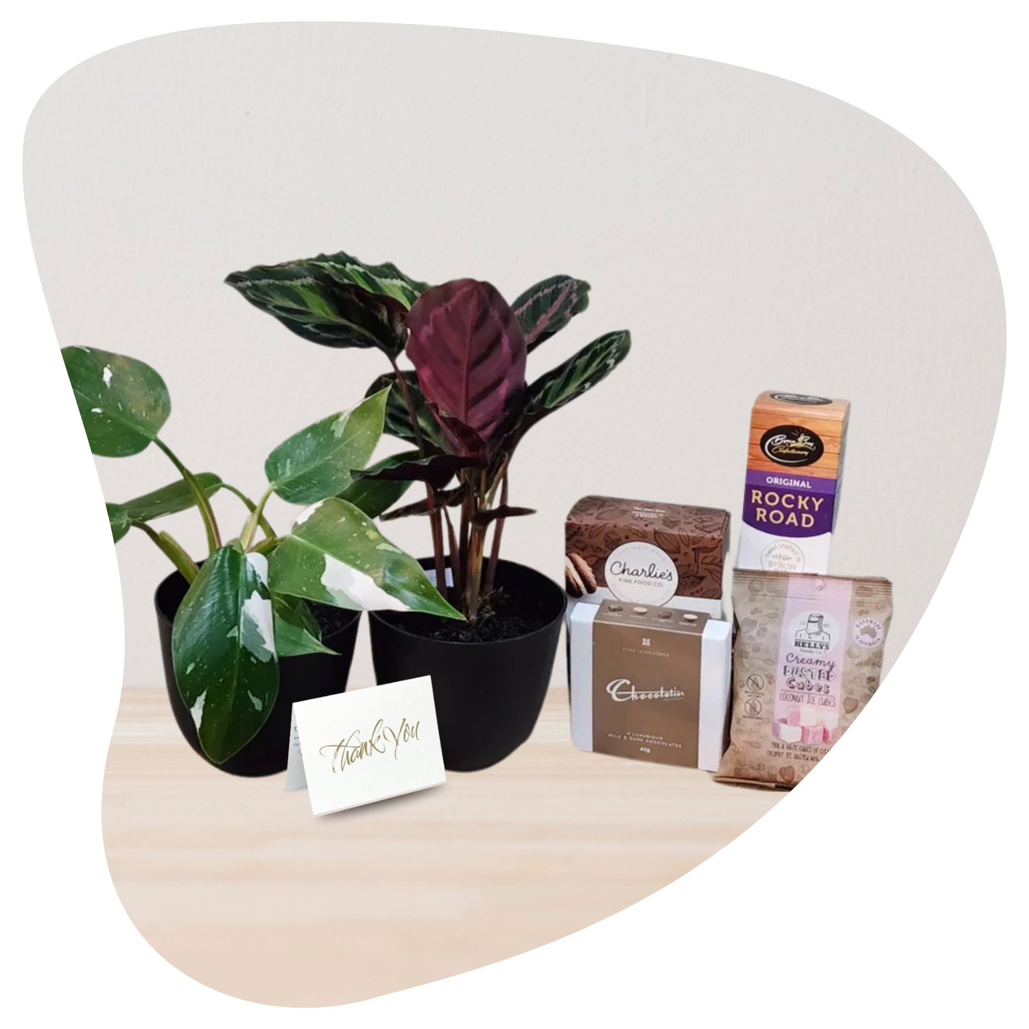 Indoor Plant Hampers