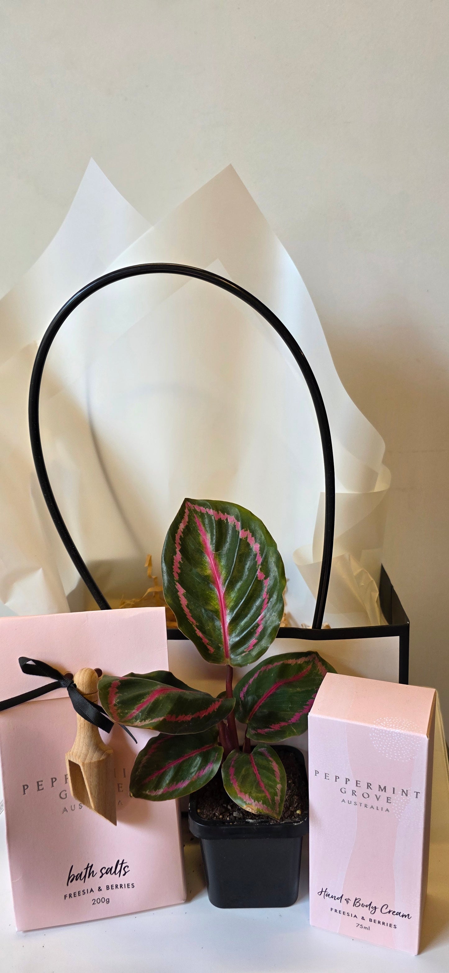 The Pamper and Plant Hamper