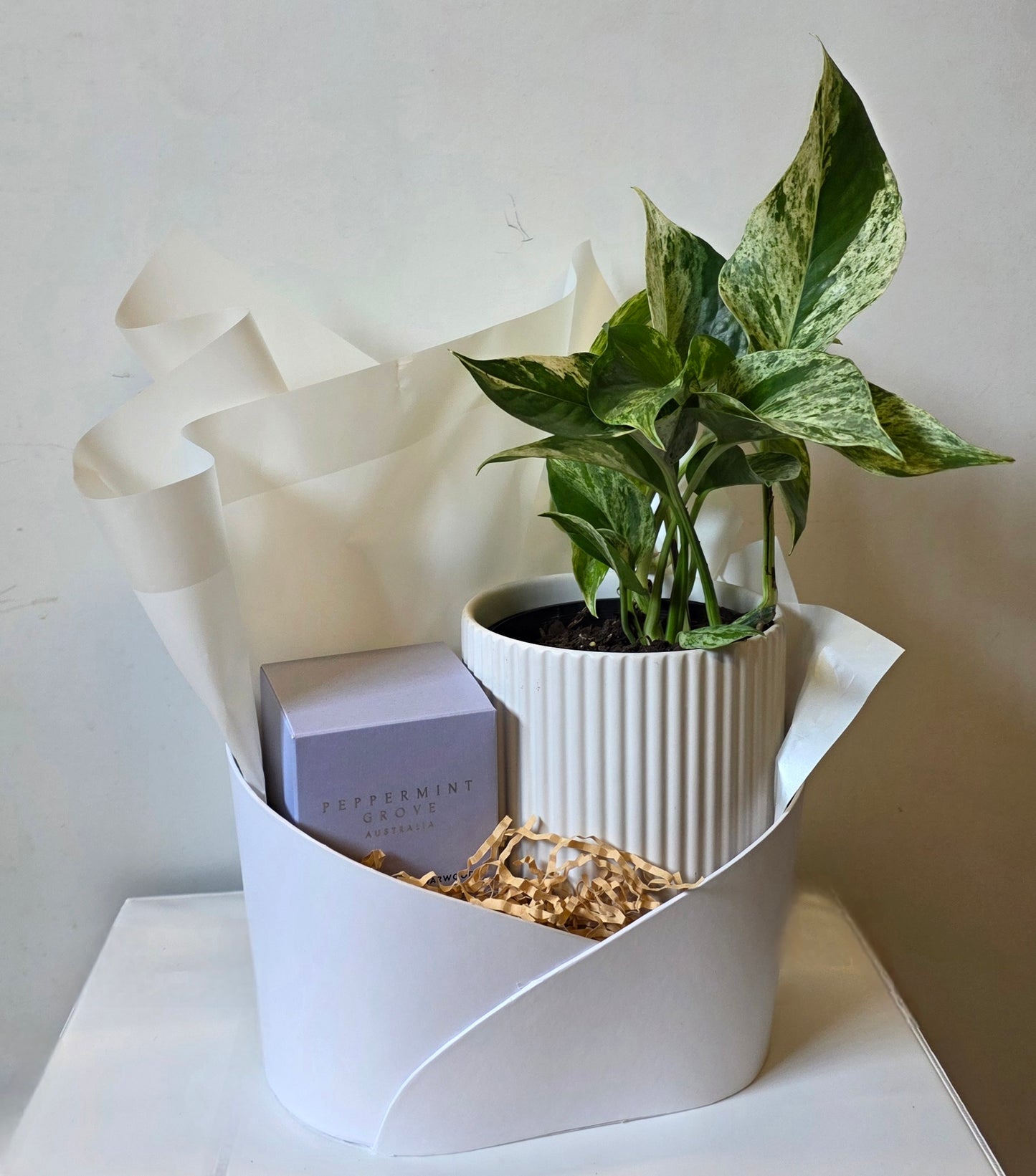Leaf & Light Gift Set