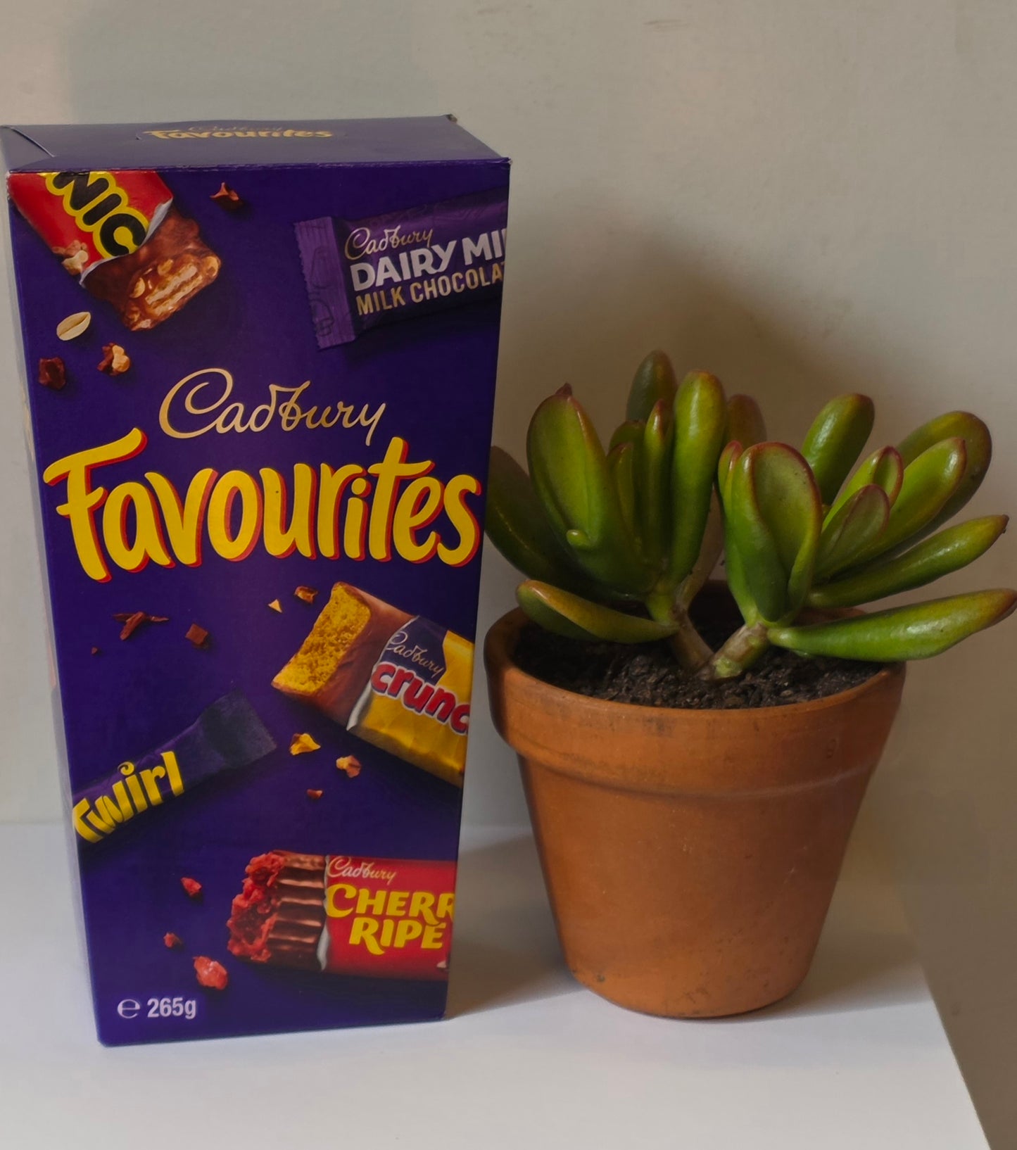 Desktop Planter Hamper