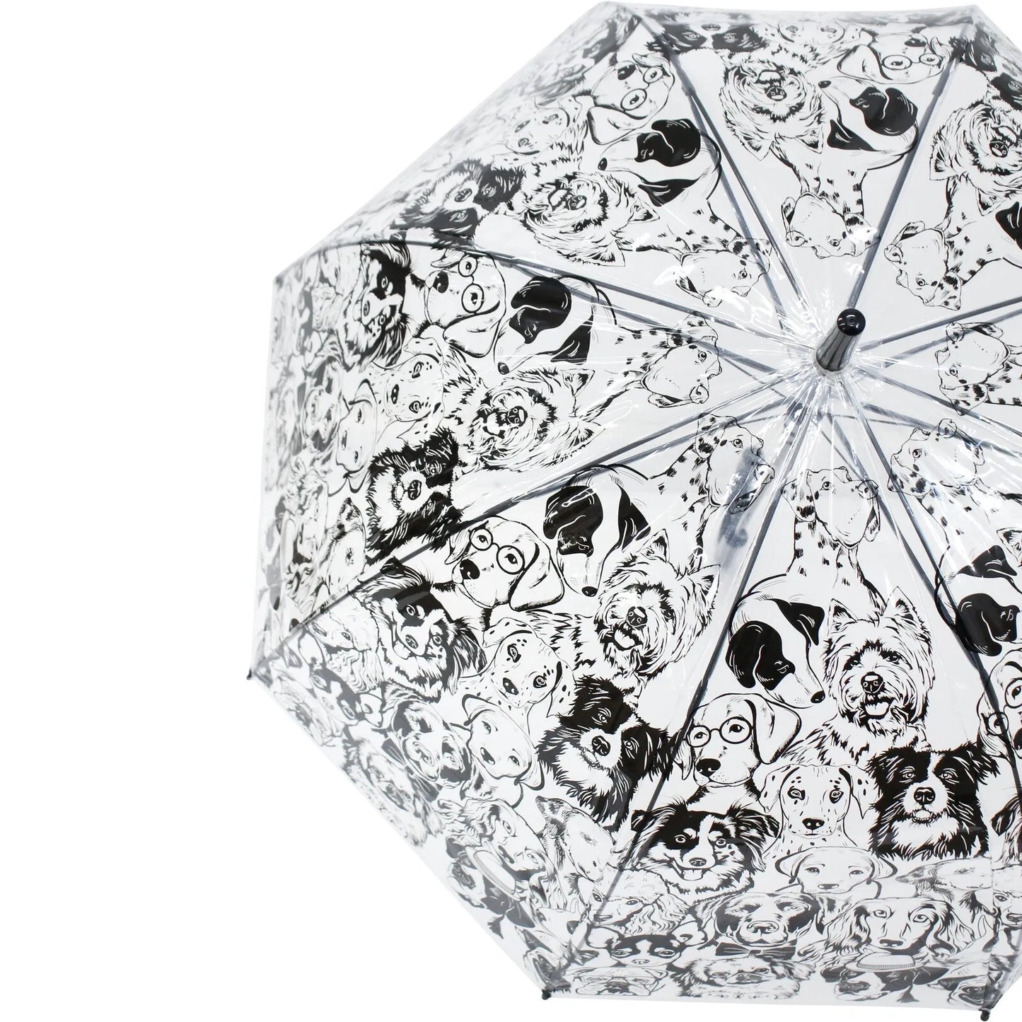 Umbrella With Birds/ Dogs