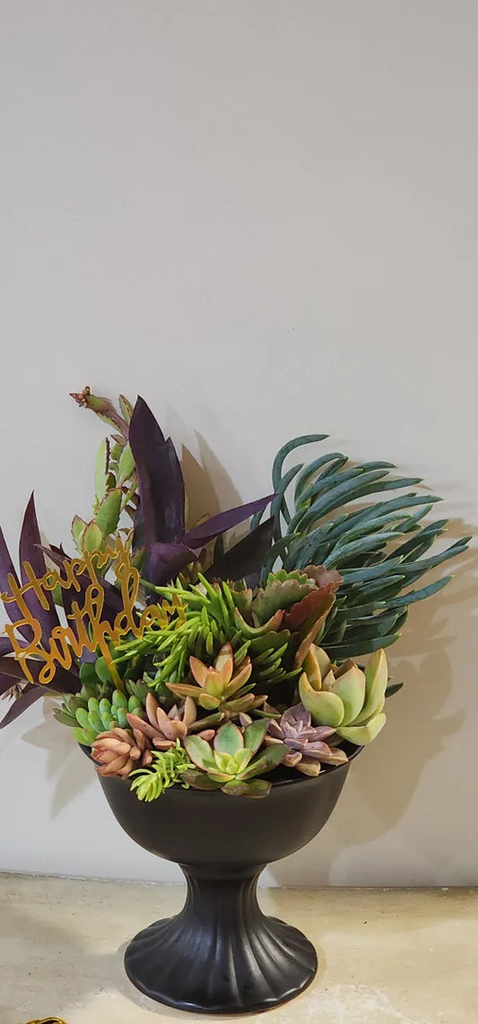Gorgeous Small Urn Succulent Arrangement