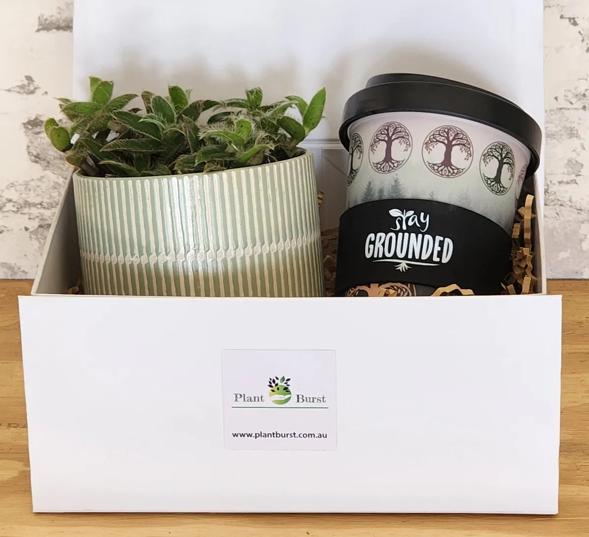 Plant & Coffee Cup Hamper