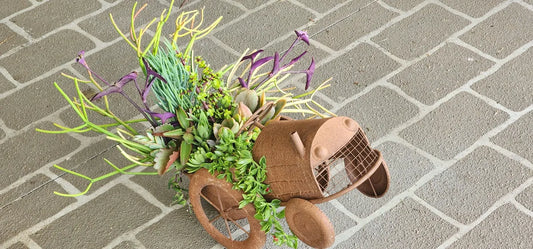 Rustic Tractor Succulent Arrangement