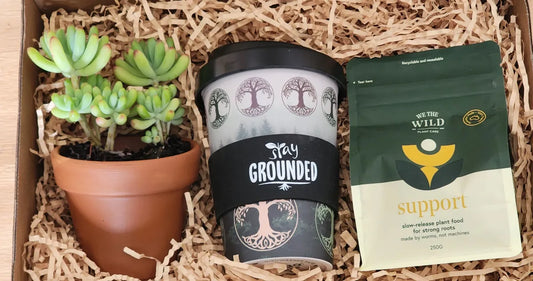 Stay Grounded Hamper
