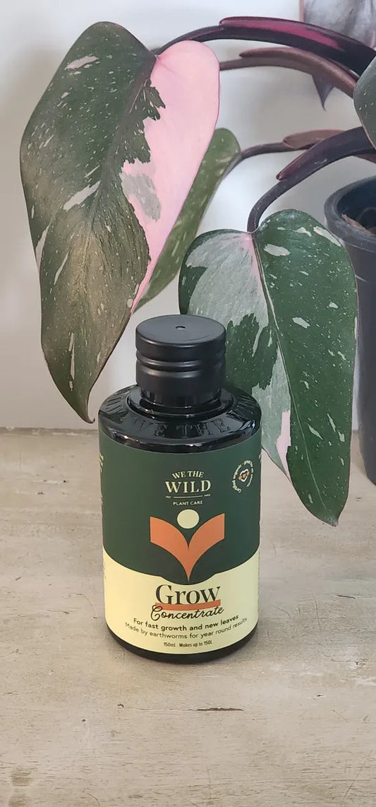 We The Wild Grow Concentrate