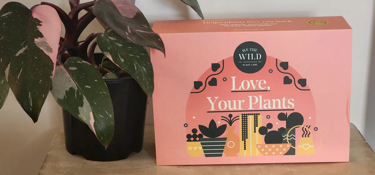We The Wild Plant Care Pack