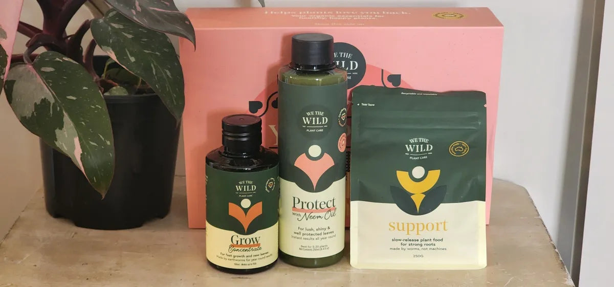 We The Wild Plant Care Pack