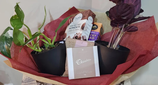 Plant and Sweet Box