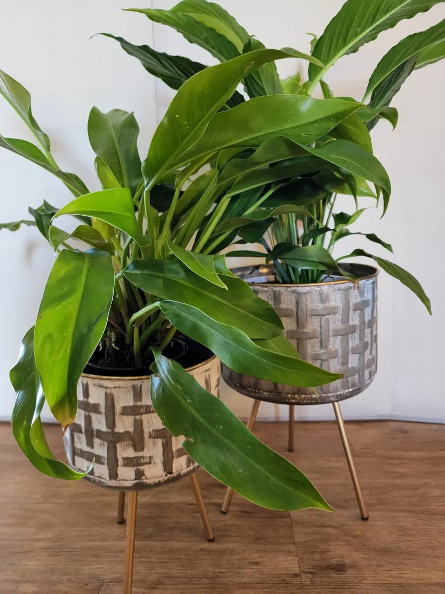 Metal Planter on Legs