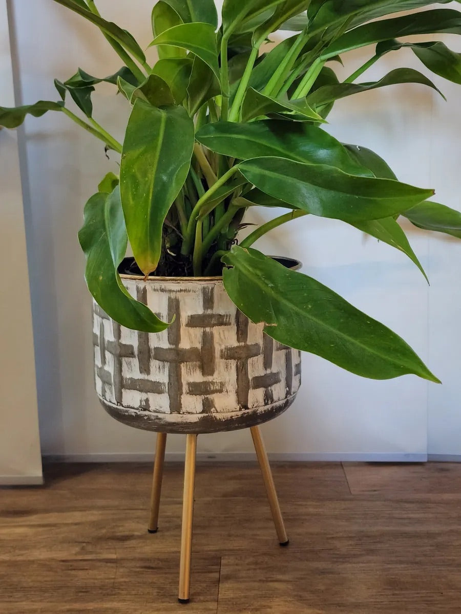 Metal Planter on Legs