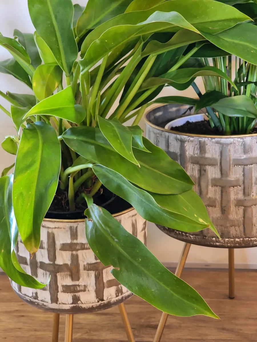 Metal Planter on Legs